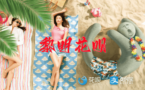 不言而喻花呗